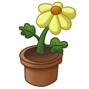 Flower Pot